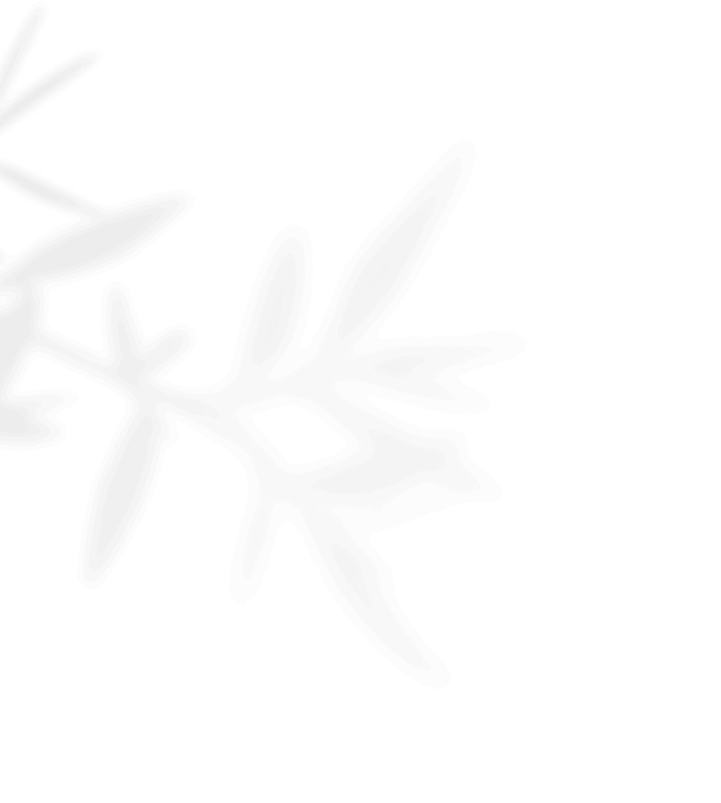 https://virtualweddinginvitation.com/wp-content/uploads/2020/11/shadow_leaves_01-2.png