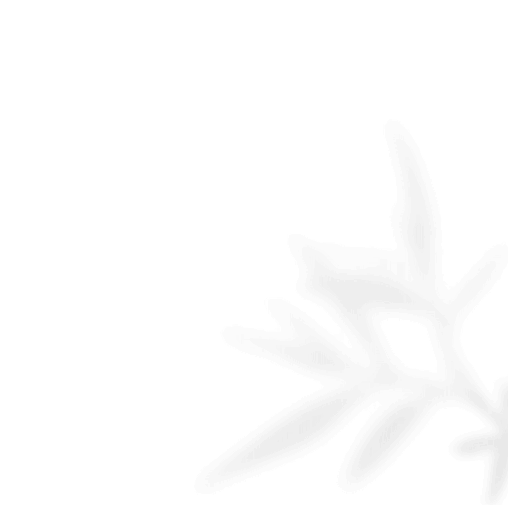 https://virtualweddinginvitation.com/wp-content/uploads/2020/11/shadow_leaves_02-2.png
